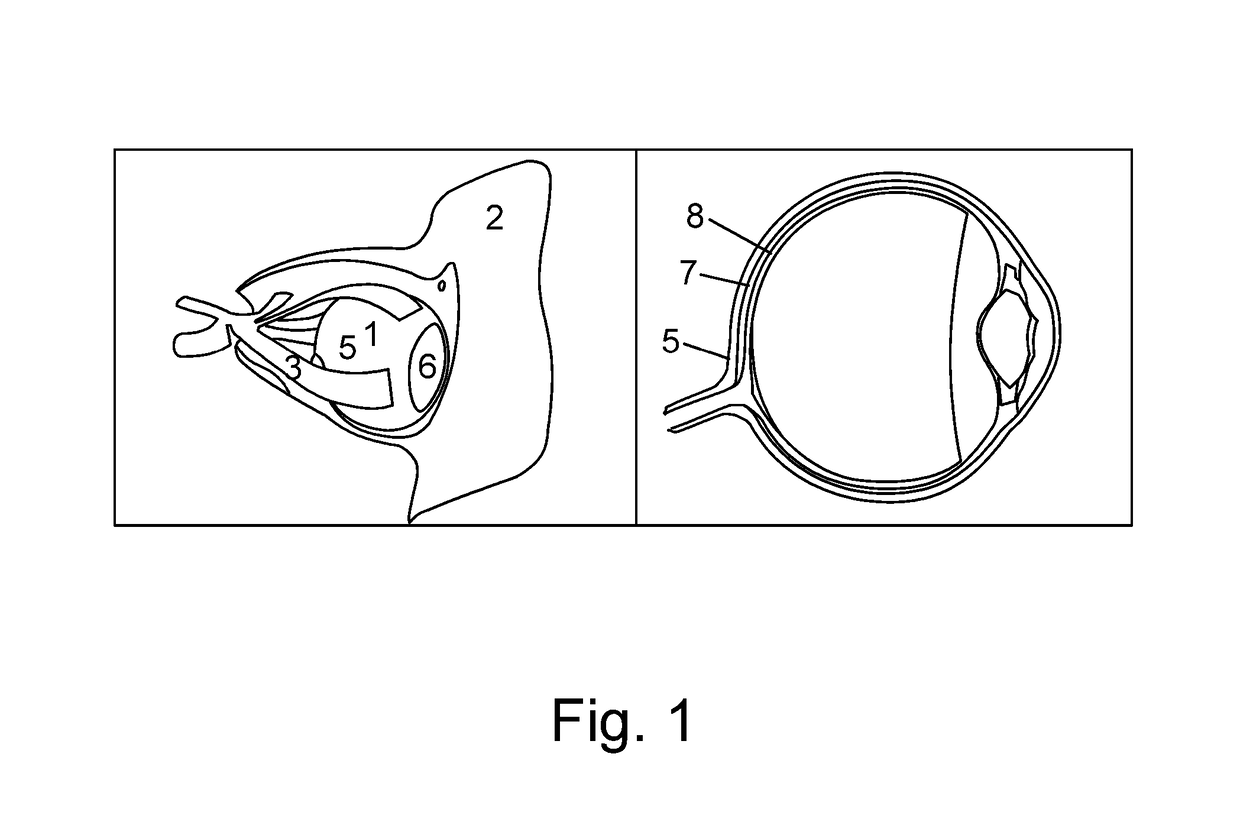 A device for a medical treatment of a sclera