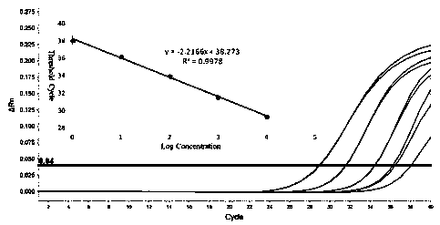 Fluorescent quantitative PCR primer and kit for detecting potato leaf roll virus