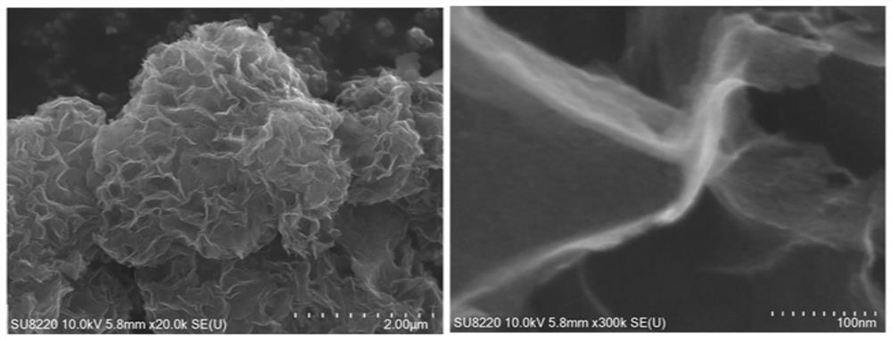 A kind of lignin-based nano-flower porous carbon carrier-loaded Ru-based catalyst and its preparation method and application in lignin depolymerization