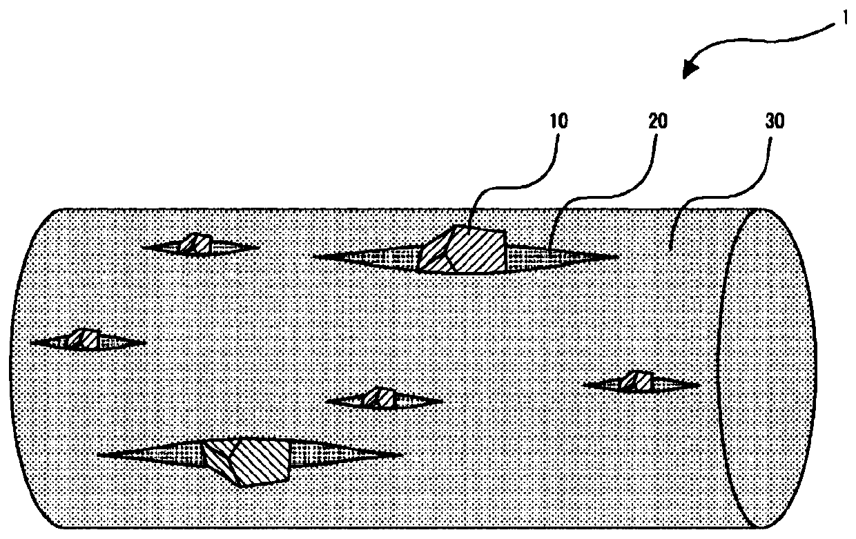 Antimicrobial fiber and method of manufacturing antimicrobial fiber