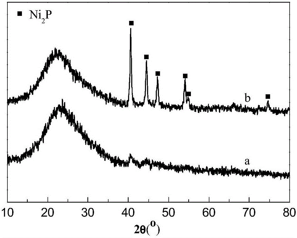 Nickel phosphide catalyst, method for preparing same and application of nickel phosphide catalyst