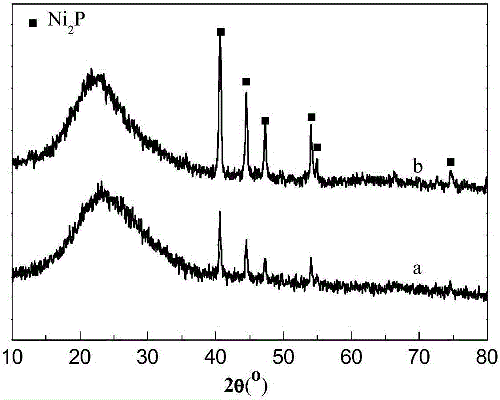 Nickel phosphide catalyst, method for preparing same and application of nickel phosphide catalyst