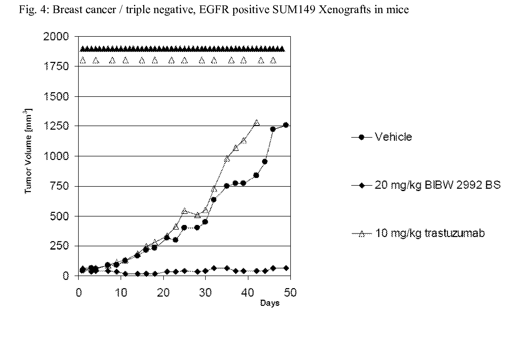 Bibw 2992 for use in the treatment of triple negative breast cancer