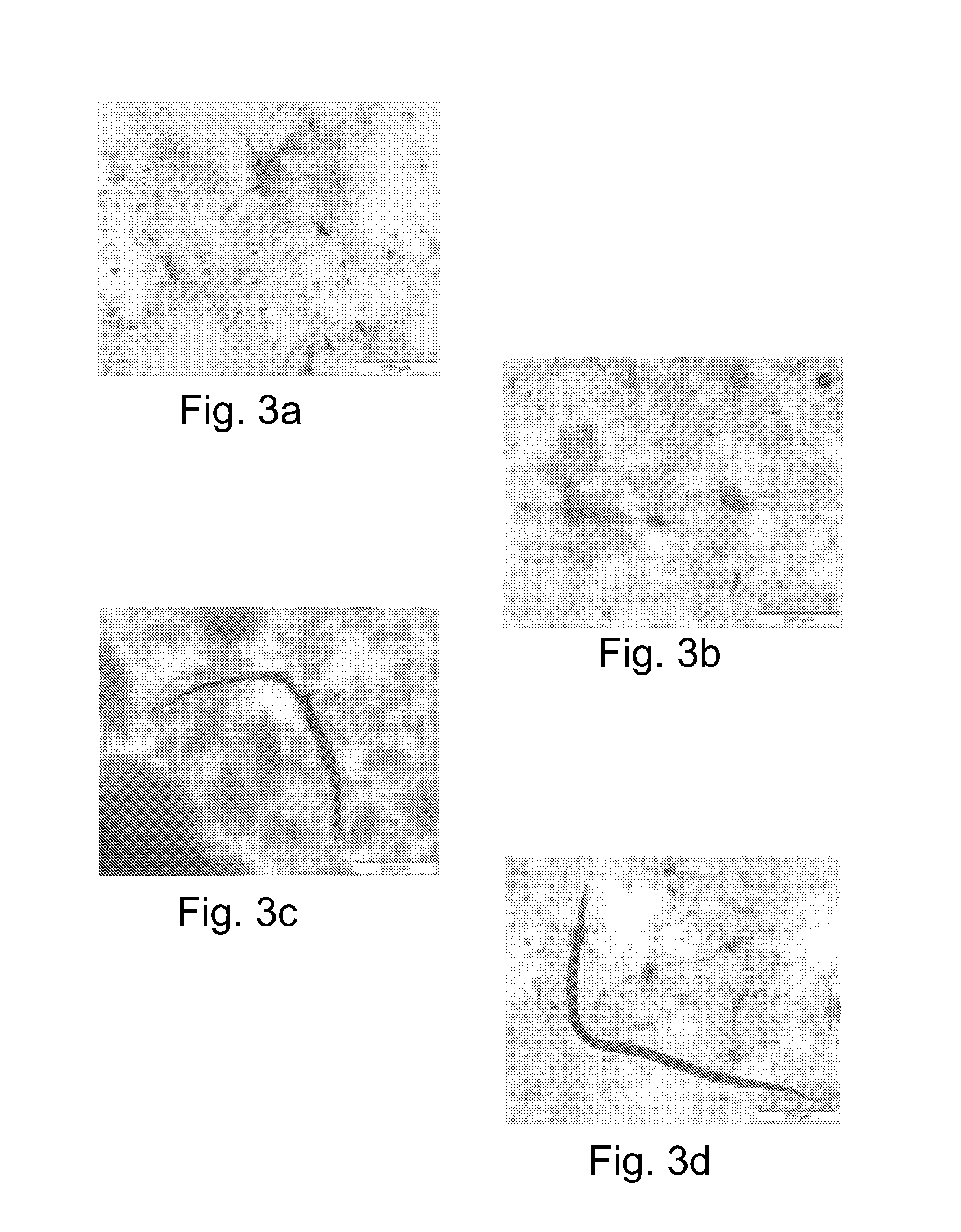 Method and a system for manufacturing cellulose material