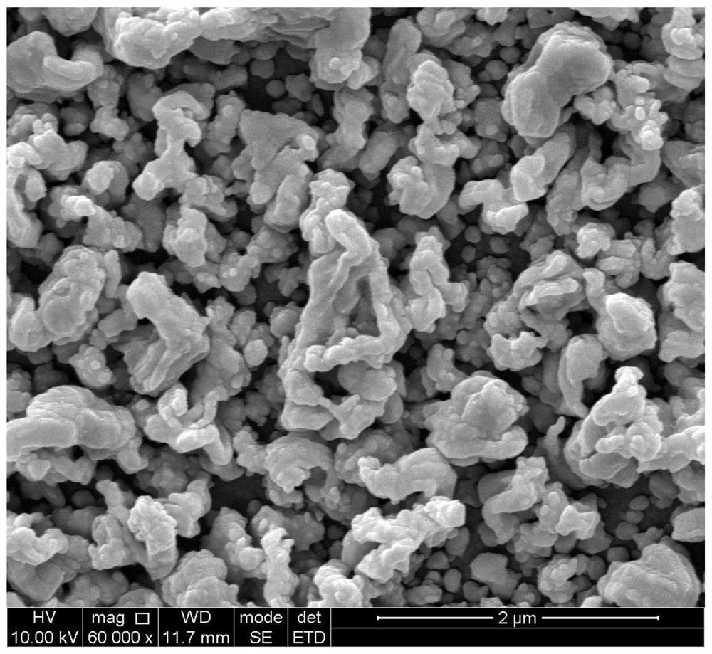 Porous Cu-SiC composite film and preparation method thereof