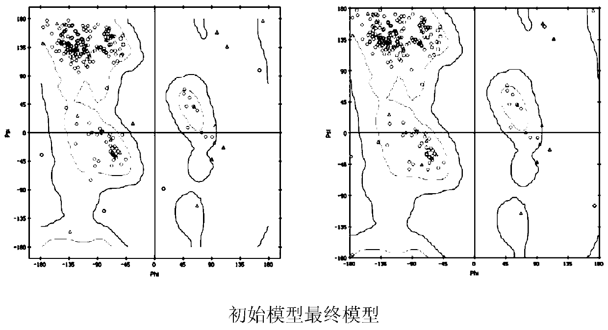 Antigen-binding fragment of humanized anti-CD19