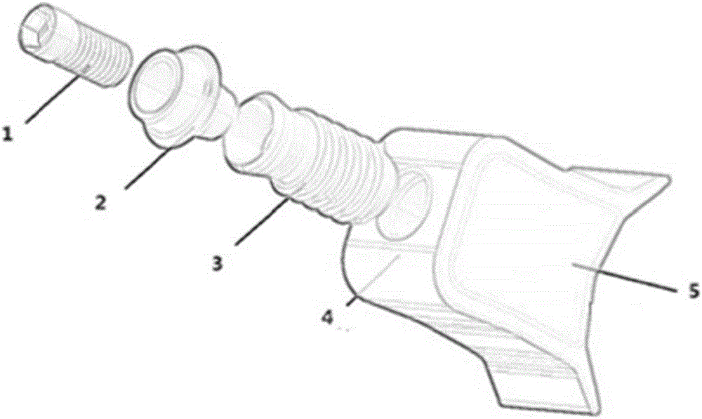 Planting body structure optimization method based on finite element model