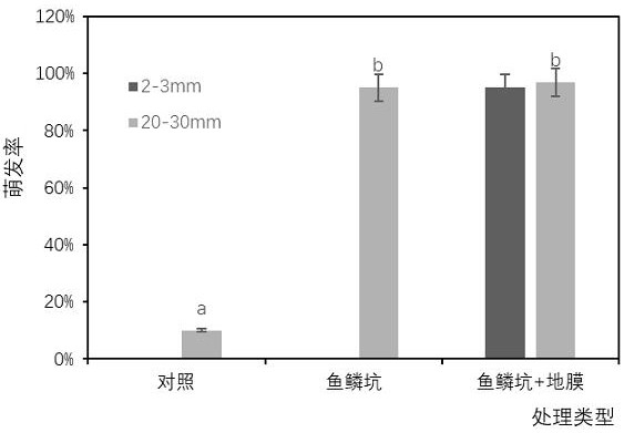 Caragana korshinskii afforestation method under difficult site condition