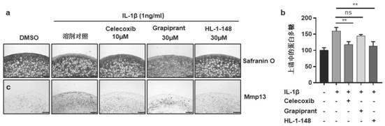 Targeted EP4 receptor micromolecule antagonist and application thereof in treatment of osteoarthritis and cartilage defects