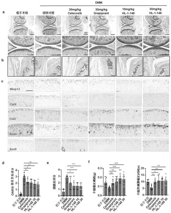 Targeted EP4 receptor micromolecule antagonist and application thereof in treatment of osteoarthritis and cartilage defects