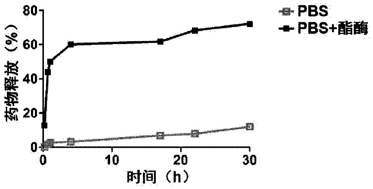 Cationic poly-prodrug polymer as well as preparation method and application thereof