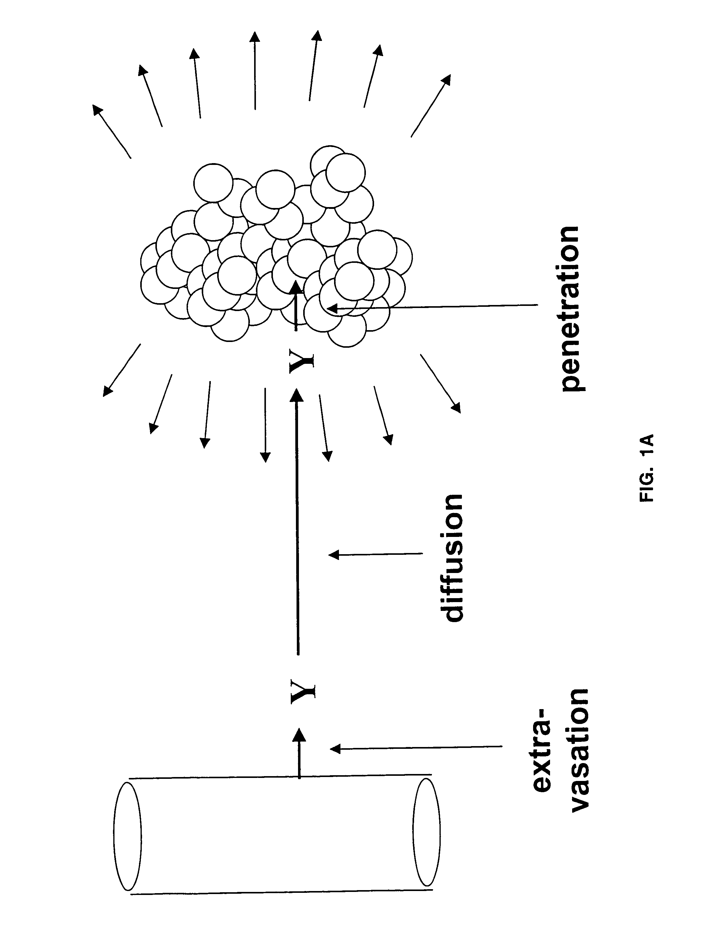 Alpha emitting constructs and uses thereof