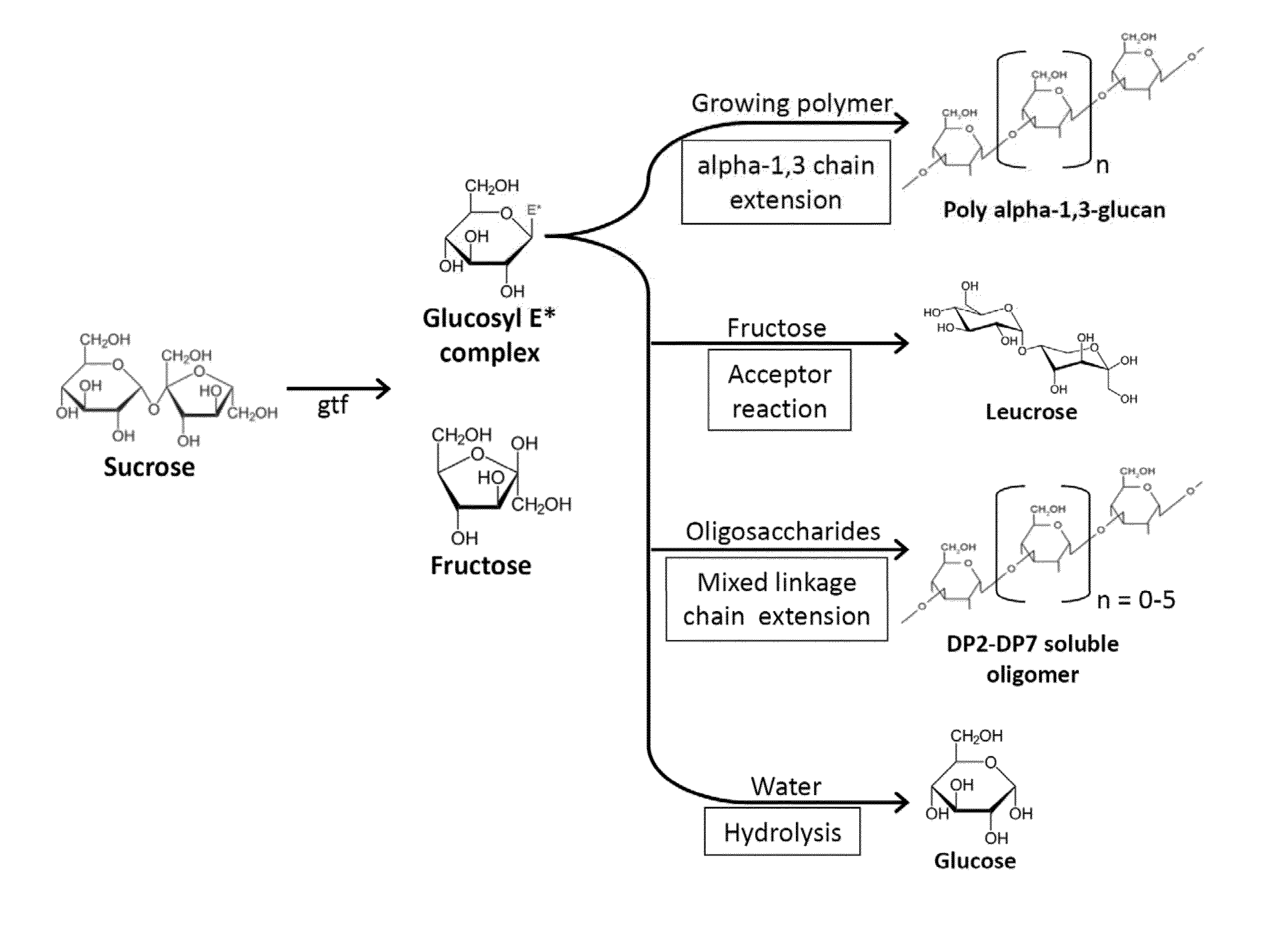 Process for producing aplha-1,3-glucan polymer with reduced molecular weight