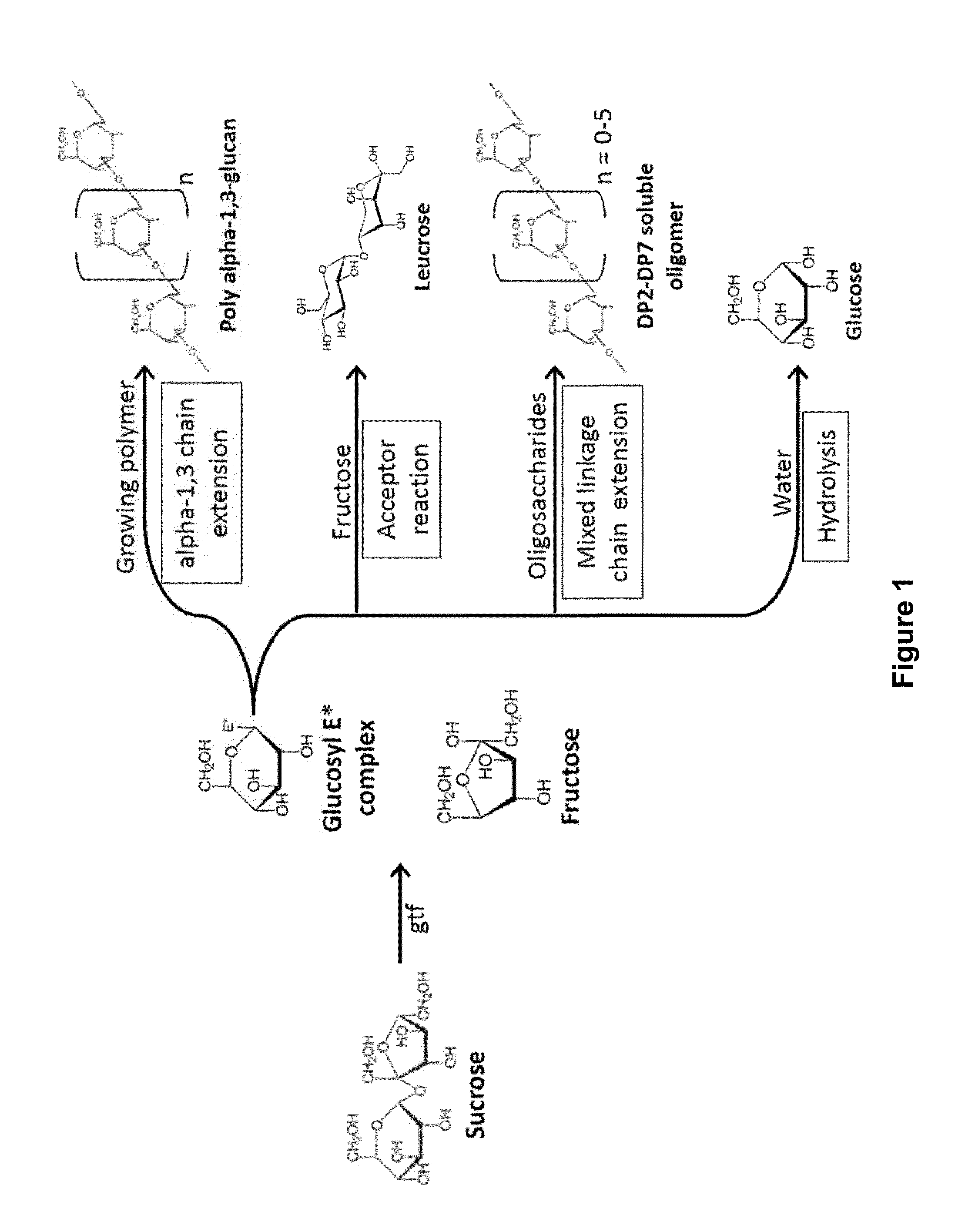 Process for producing aplha-1,3-glucan polymer with reduced molecular weight