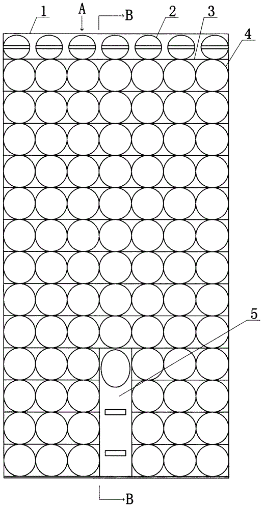 Combined firework capable of displaying projected image