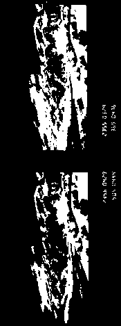 Liquid crystal display LED backlight global dimming control method