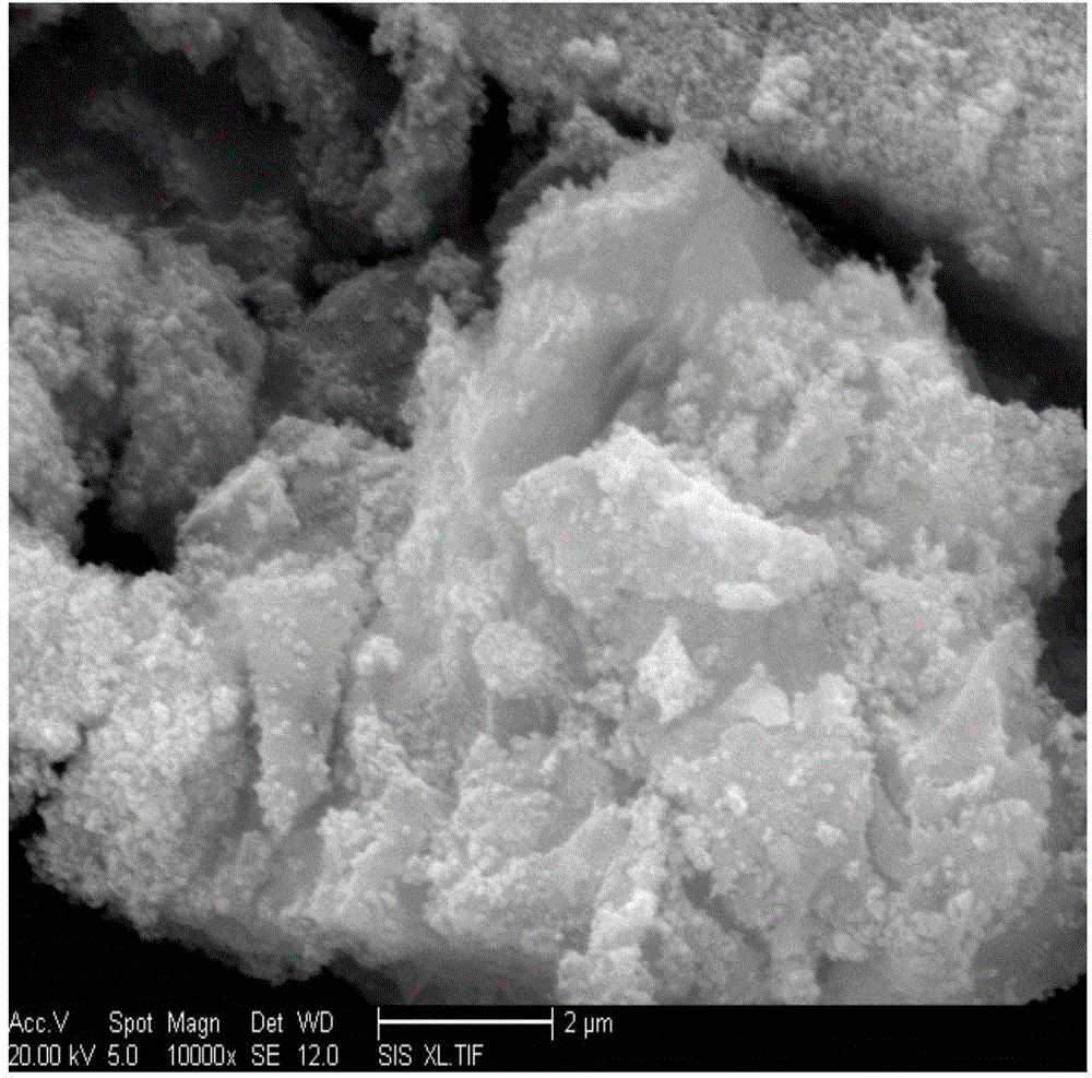Method for preparing ferroferric oxide/carbon /nano-graphite sheet nanocomposite material in situ