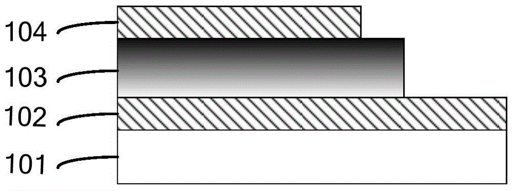 Memristor device based on organic ferroelectric film material and preparation method thereof