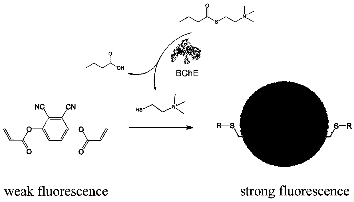 Fluorescent probe for detecting activity of butyrylcholineesterase, preparation method and application thereof