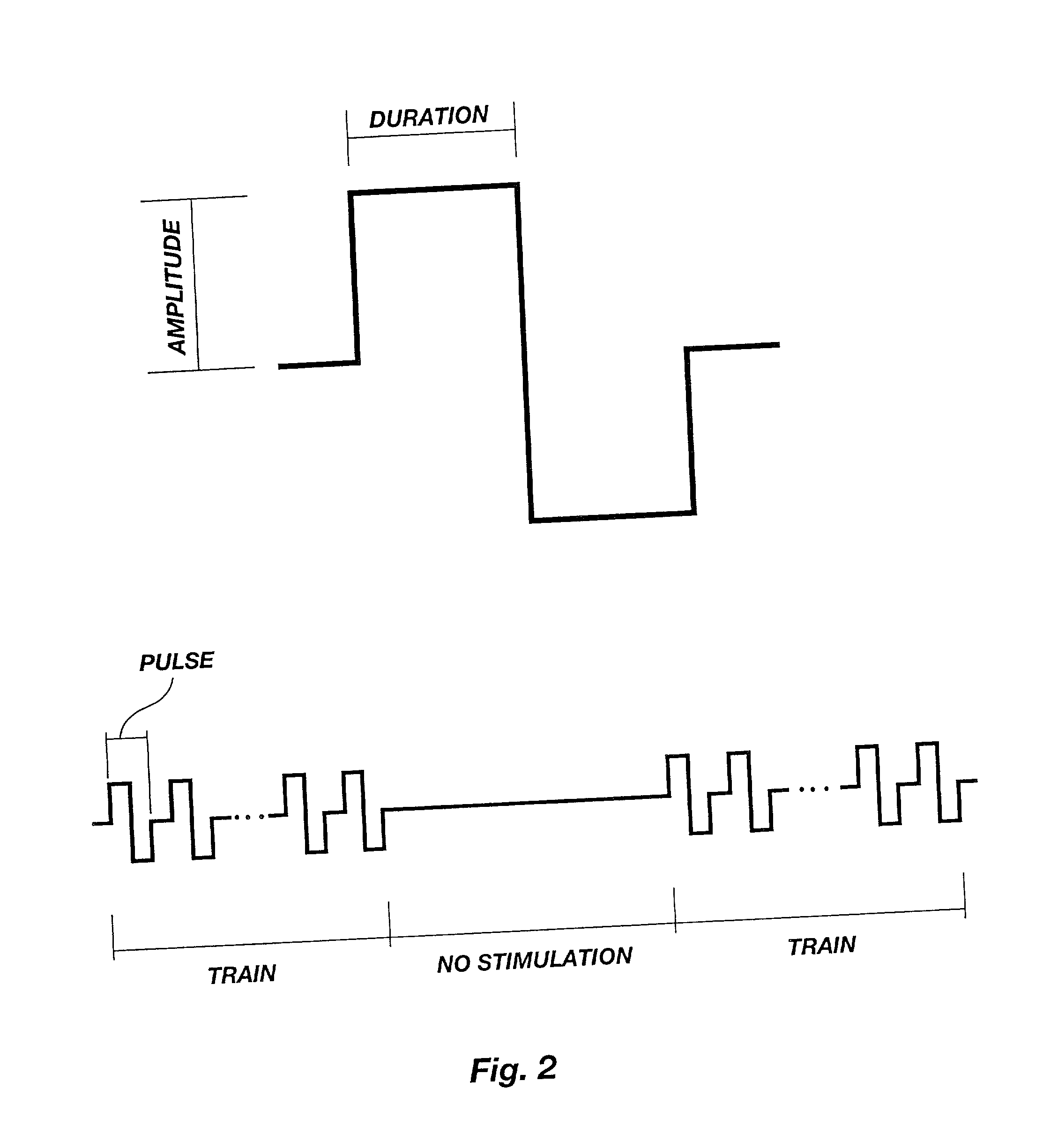Method for genetic immunization and introduction of molecules into skeletal muscle and immune cells