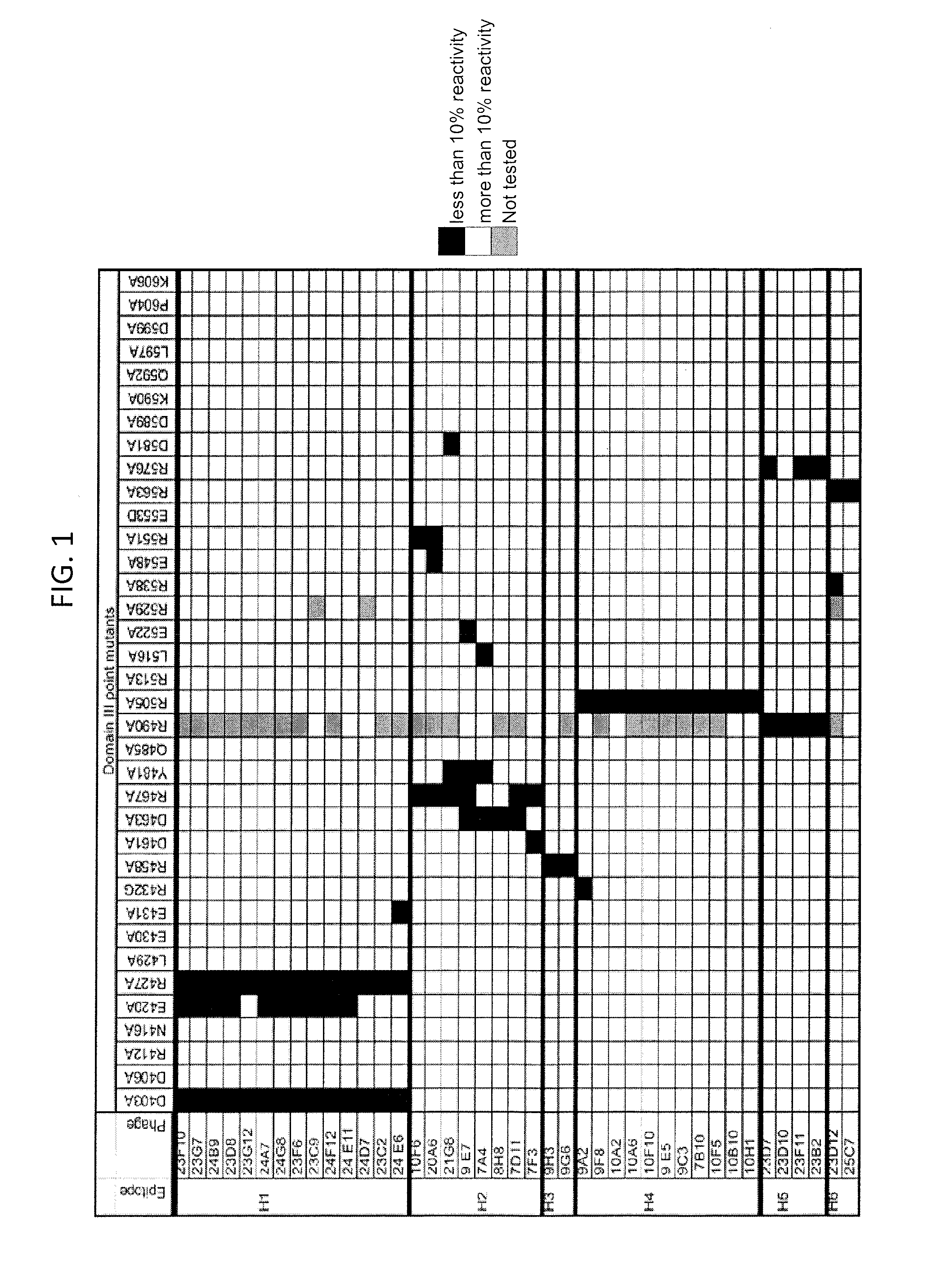 Pseudomonas exotoxin a with less immunogenic b cell epitopes