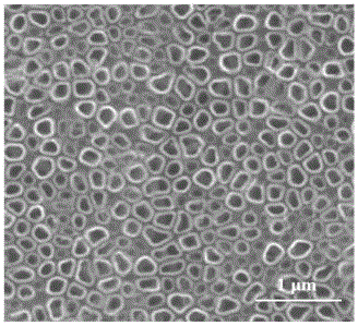 Preparation method and application of Ti3+ doped TiO2 nanotube array/sulfonated poly phenol membrane electrode