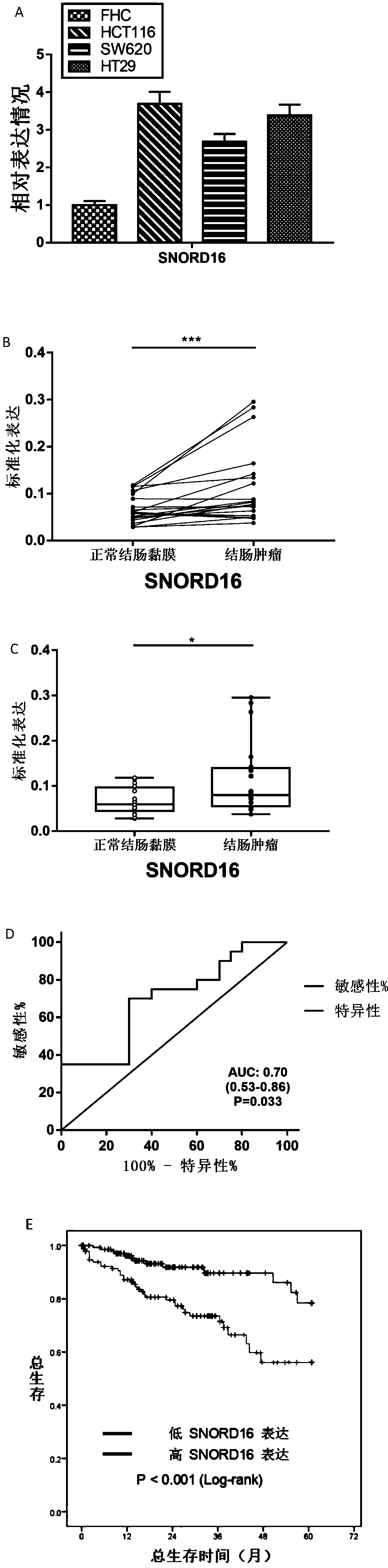 Application of SNORD16 gene in preparation of colon cancer detection kits and related kits