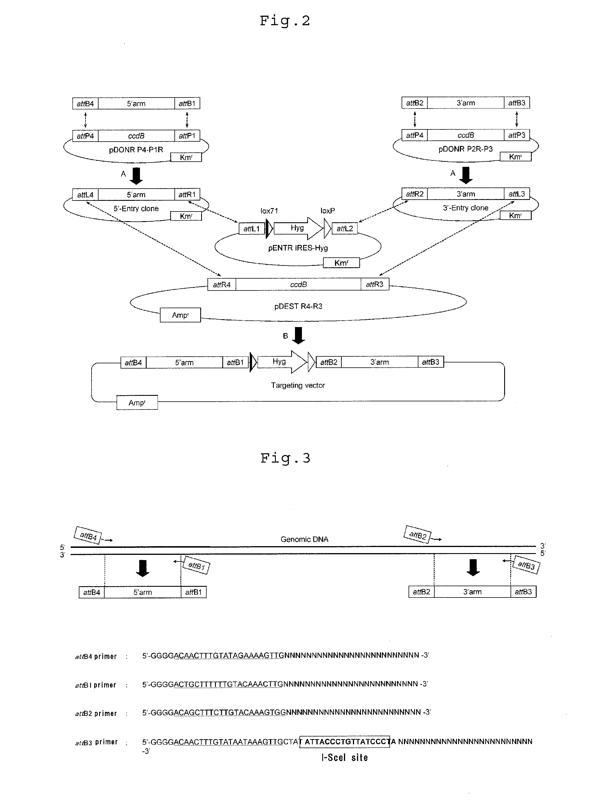 Gene targeting vector, method for manufacturing same, and method for using same