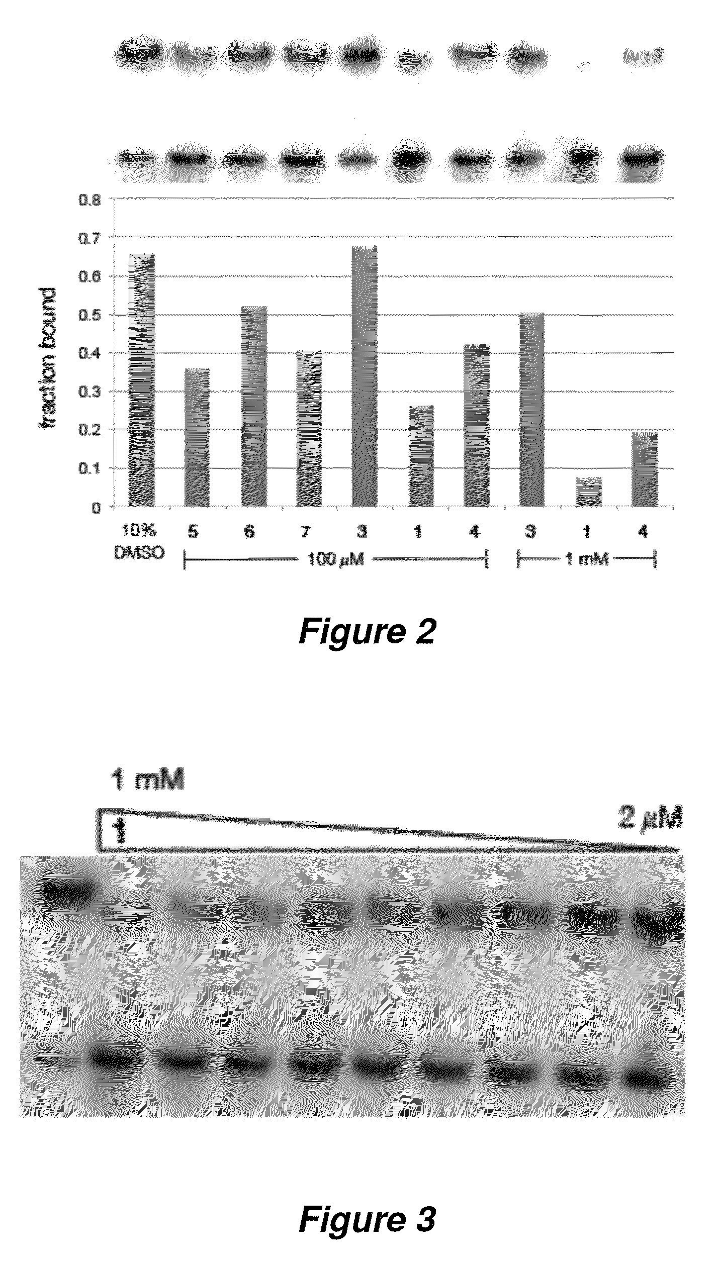 Therapeutic methods and agents for treating myotonic dystrophy