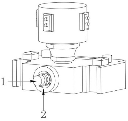 Fruity beverage packaging film and preparation process thereof