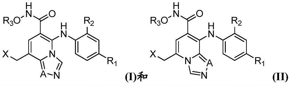 Heterocyclic compound as protein kinase inhibitor and preparation method and application thereof