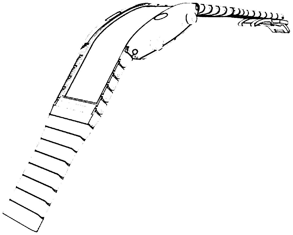 Chain assembly and wearable device