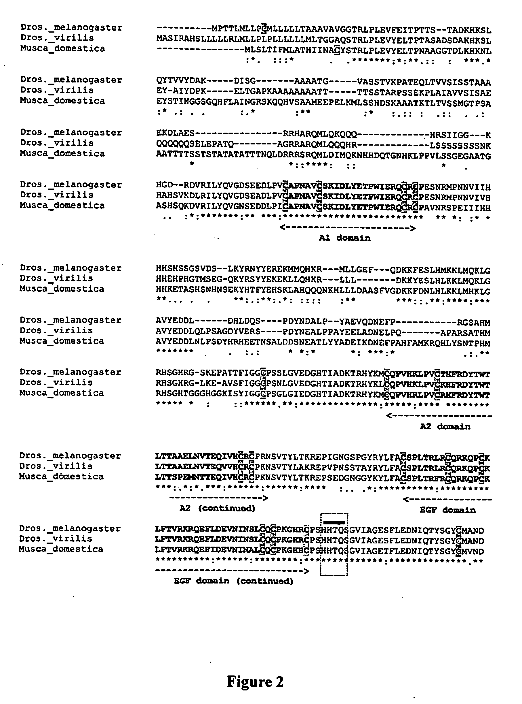 Splice Variants of ErbB Ligands, Compositions and Uses Thereof