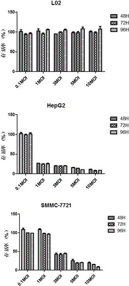 Construction and application of liver cancer targeted oncolytic influenza viruses