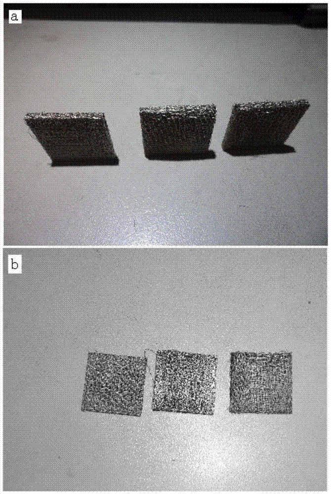 A pretreatment method for observing titanium fiber metallographic structure sintering neck
