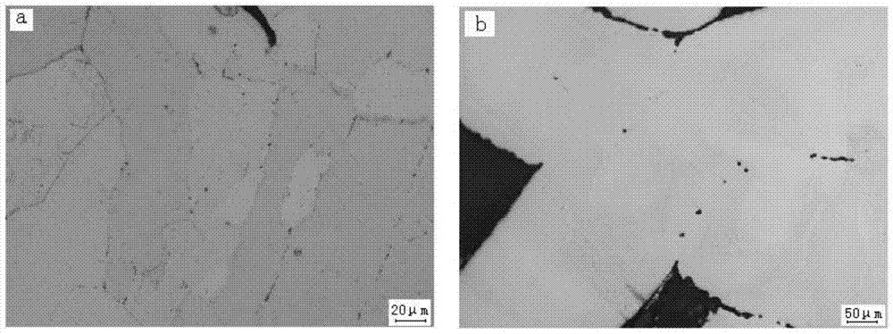 A pretreatment method for observing titanium fiber metallographic structure sintering neck