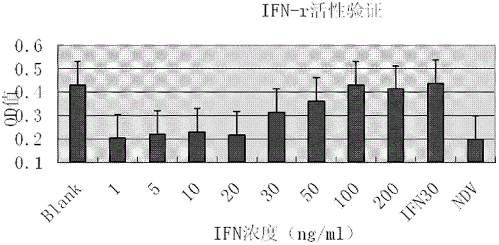 Preparation and renaturation method of chicken interferon gamma