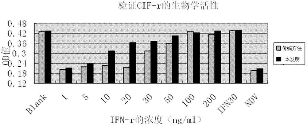 Preparation and renaturation method of chicken interferon gamma