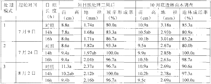 Short-day raising method for containerized seedlings of Chinese red pine