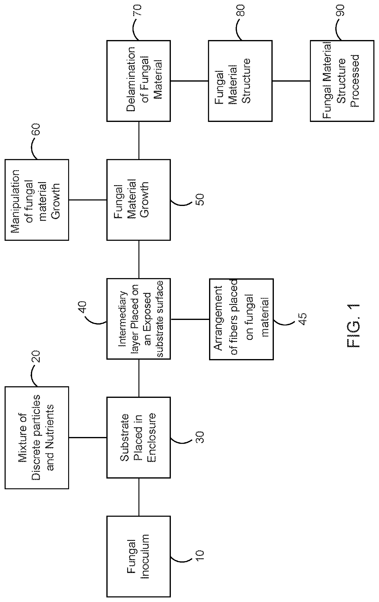 Method of producing fungal materials and objects made therefrom