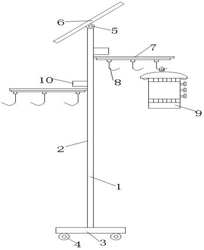 Male and female fruit fly trapping and sticking device