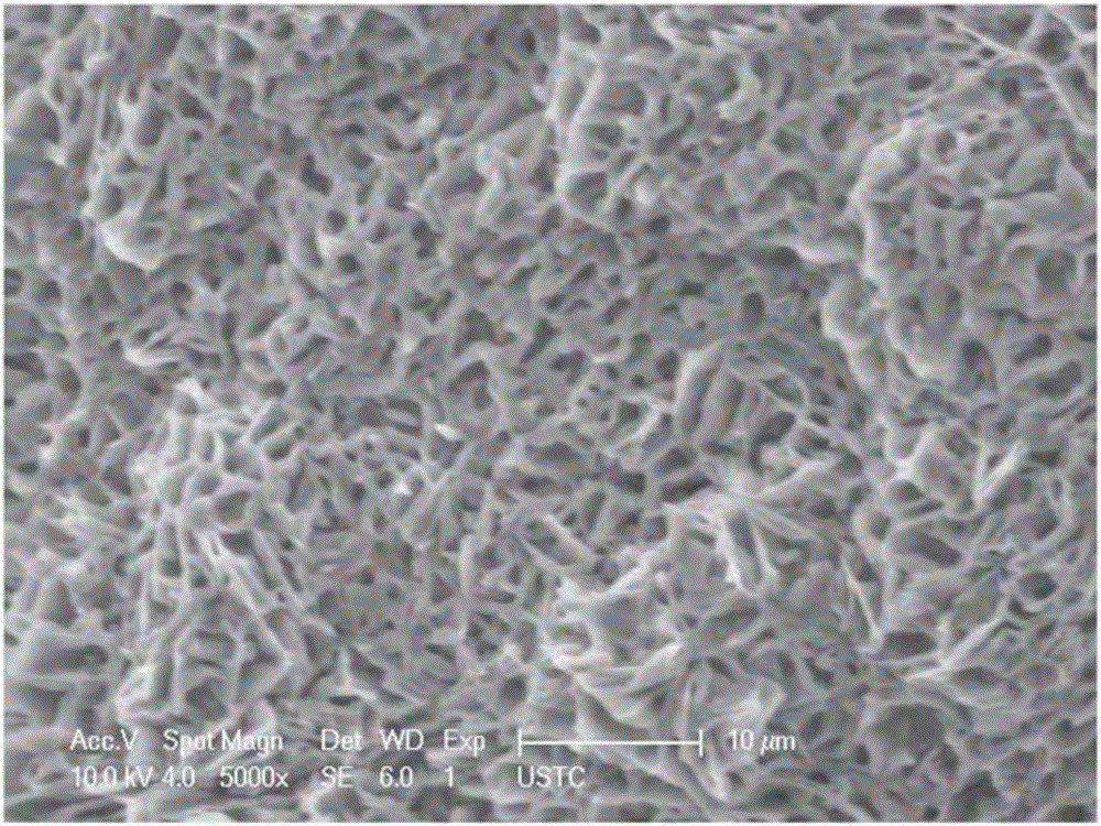 Double-functional hydrogel polymer composite material as well as preparation method and application of double-functional hydrogel polymer composite material