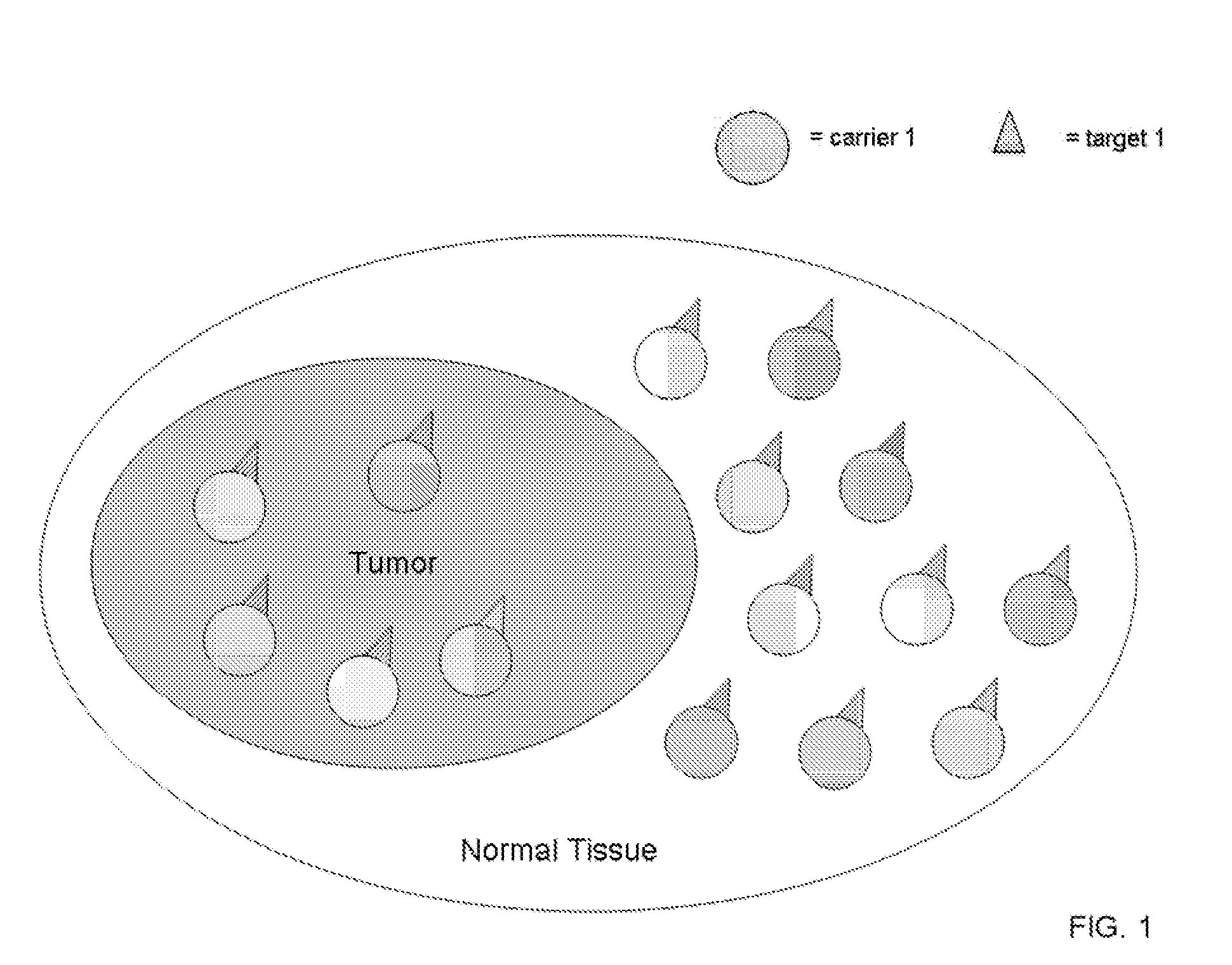 Coupled Carriers for Enhancing Therapy