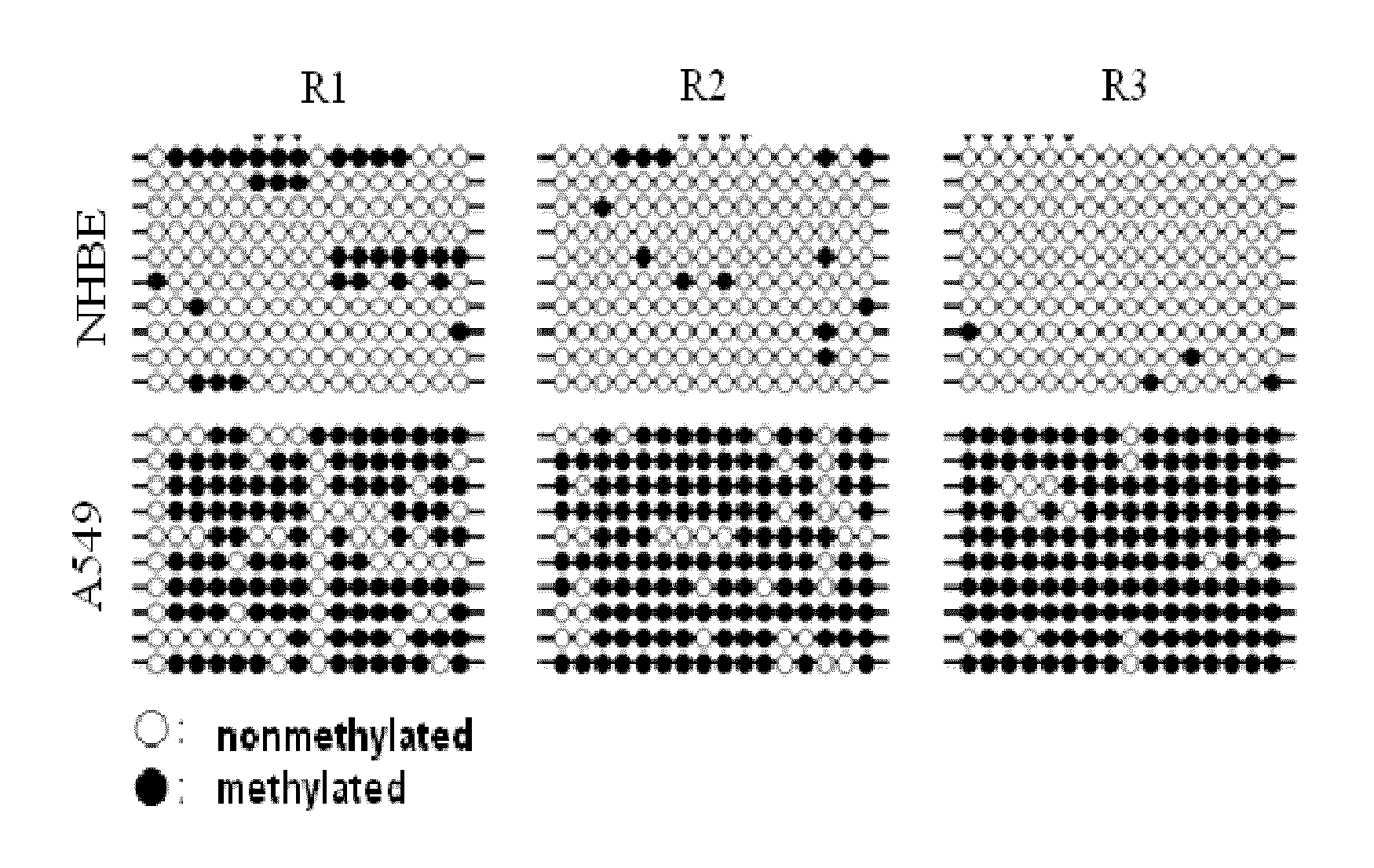 Method for detecting lung cancer using lung cancer-specific methylation marker gene