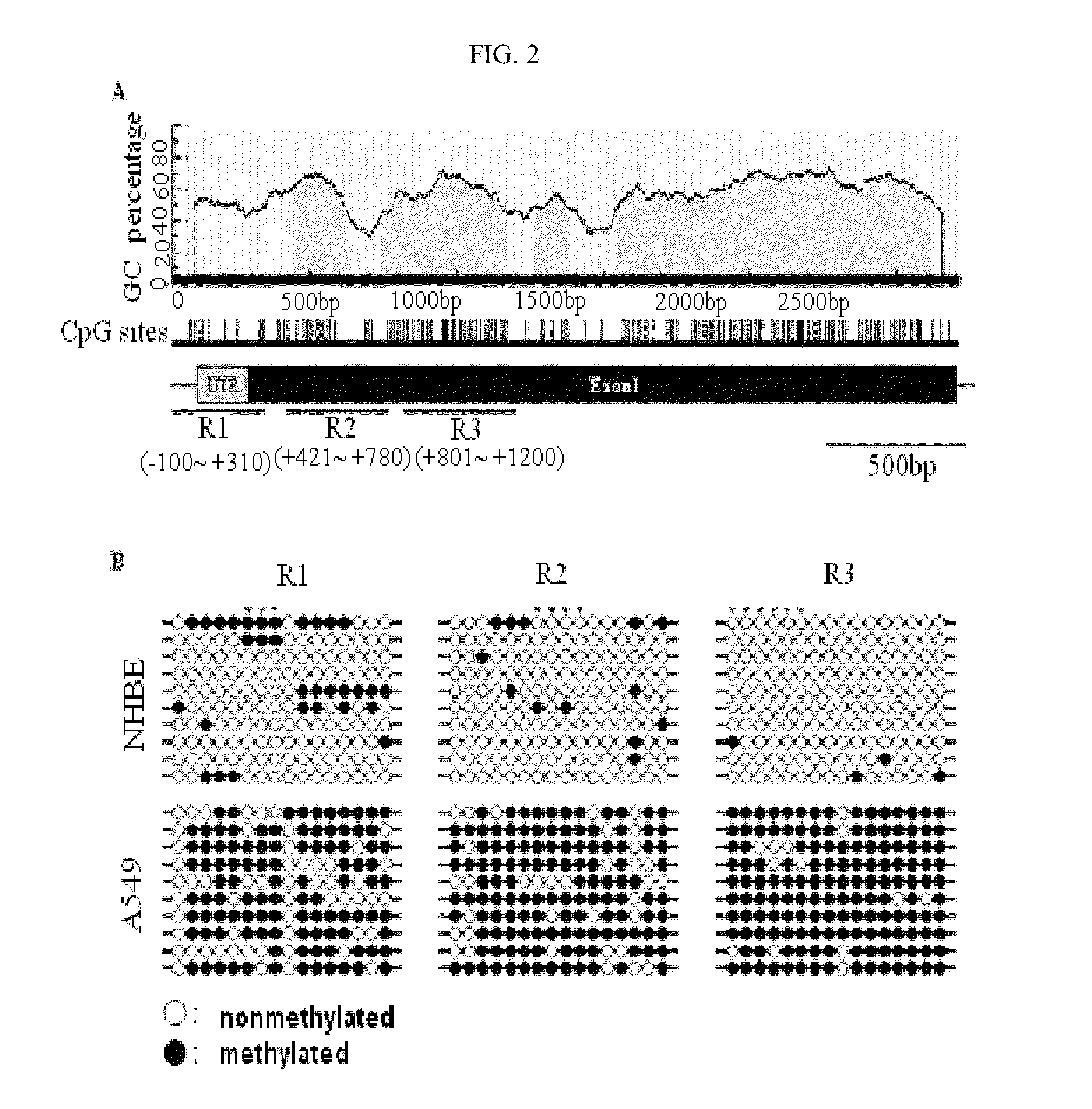 Method for detecting lung cancer using lung cancer-specific methylation marker gene