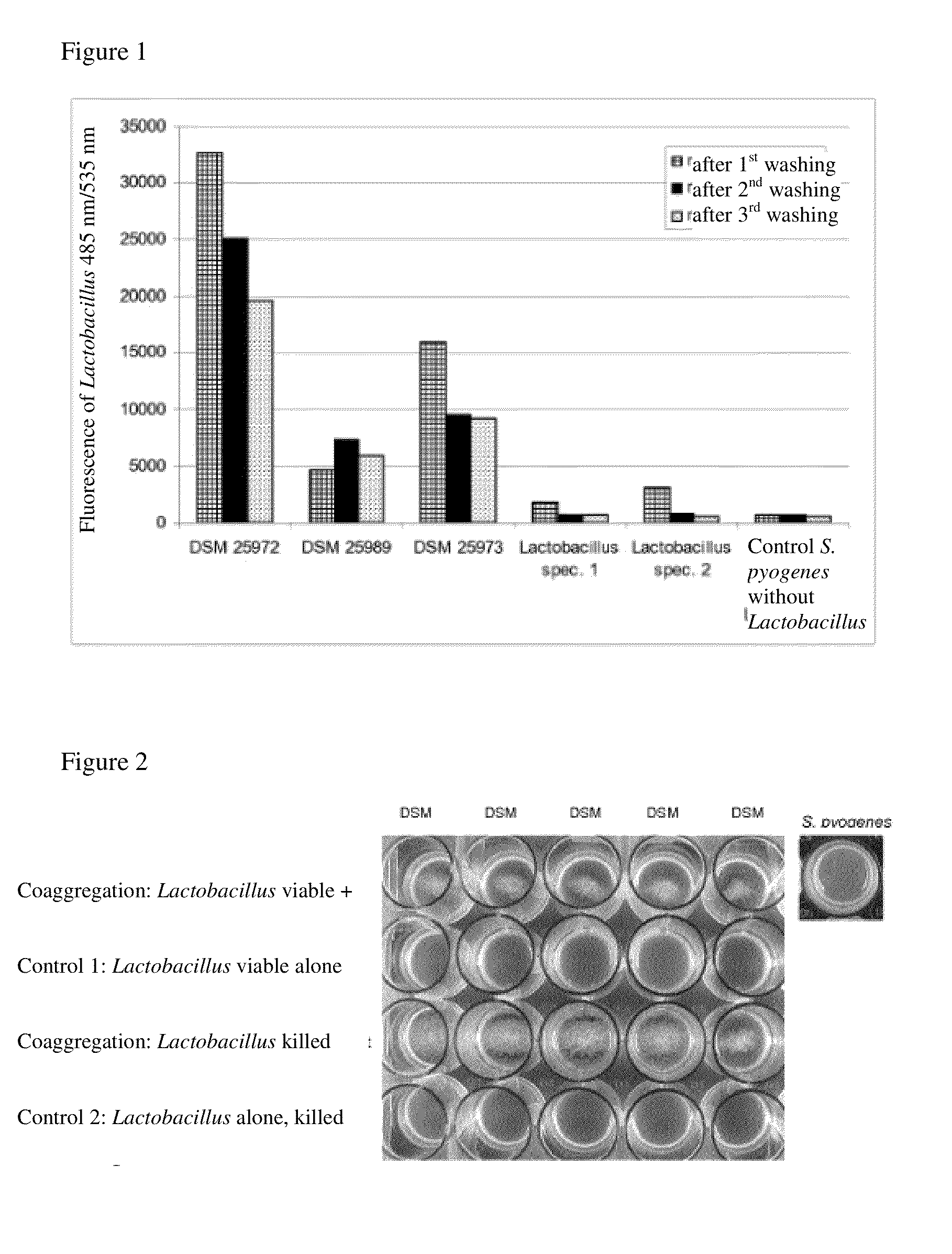 Novel lactic acid bacteria and compositions containing them against bacterial colds