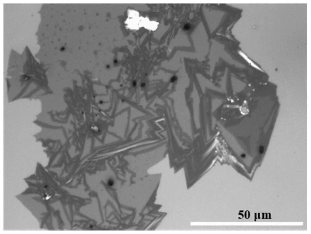 A method for preparing single-layer tungsten diselenide nanobelts based on spatial confinement strategy