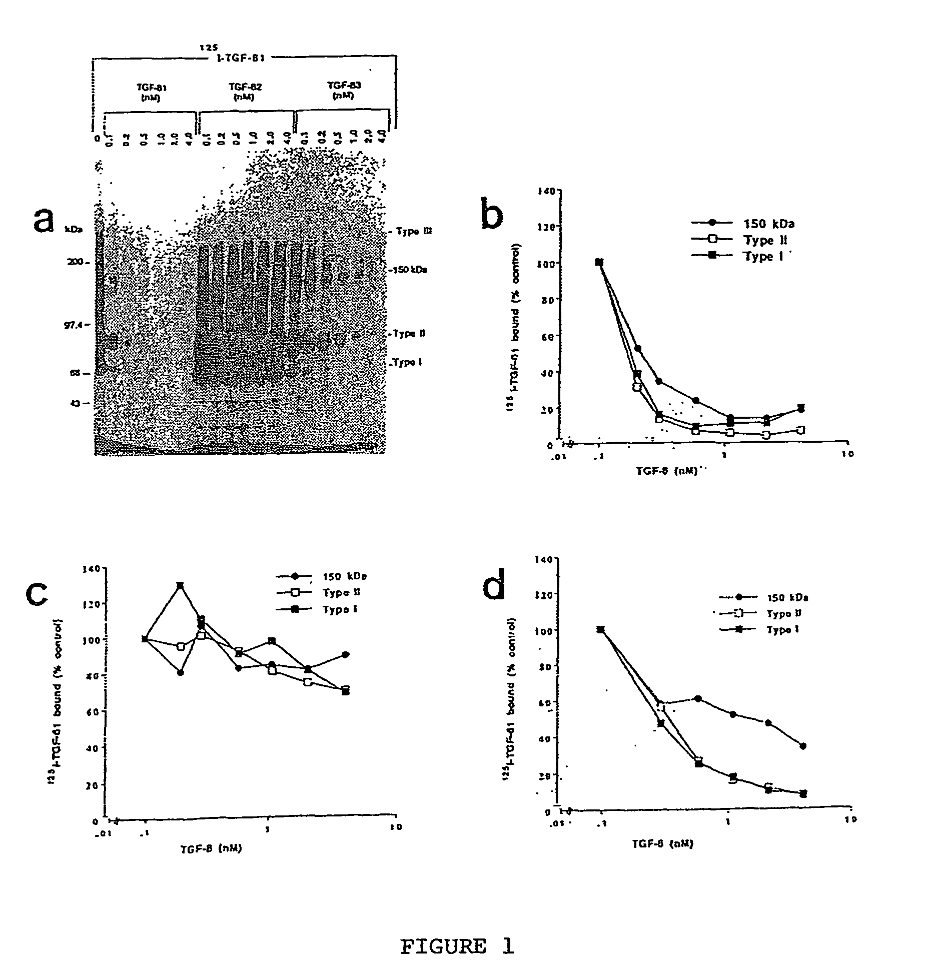 150 Kda accessory receptor for tgf-beta