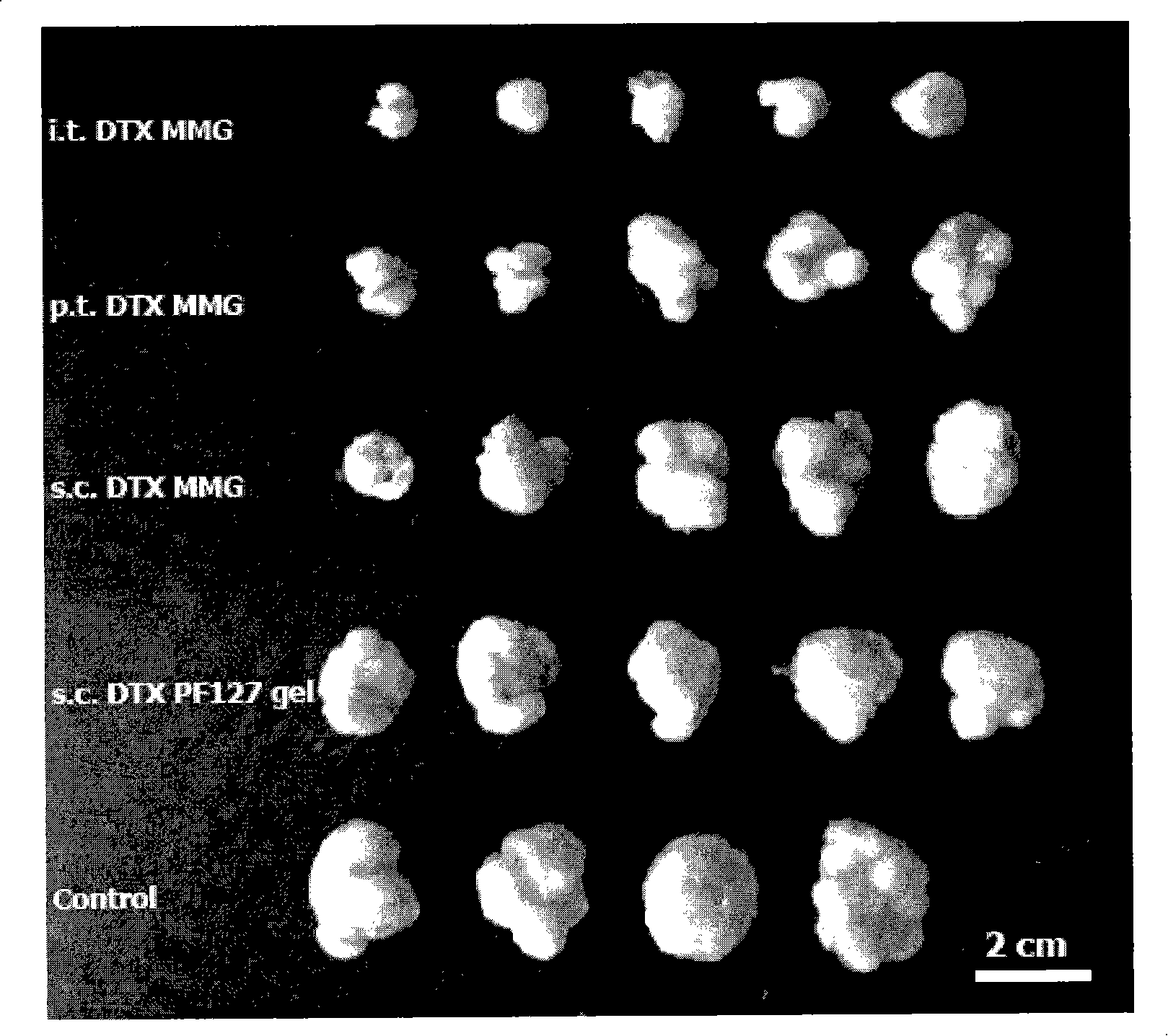 Temperature sensing in situ gel rubber formulations capable of being injected, preparation method and uses thereof