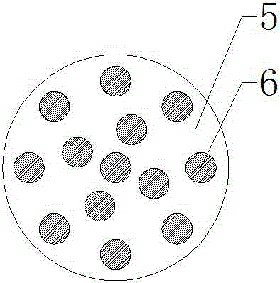 Anti-bacterium device for down product used on bed